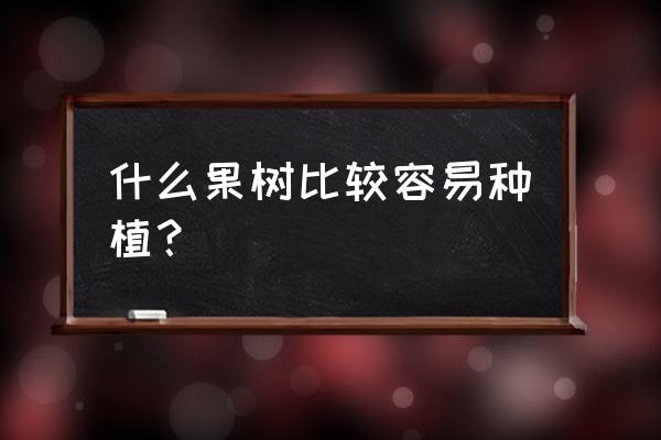 一般种什么树最好 什么果树比较容易种植？