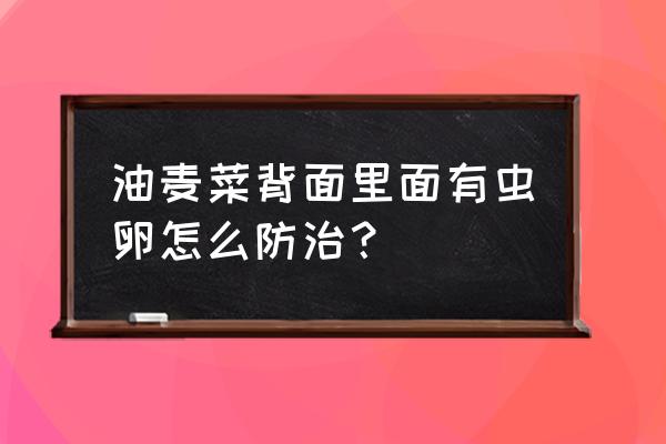 油麦菜一般能长期吃吗 油麦菜背面里面有虫卵怎么防治？