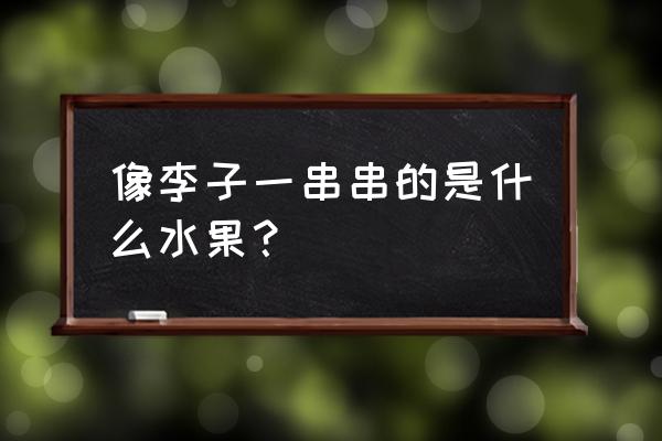 西梅和李子是同一个东西吗 像李子一串串的是什么水果？