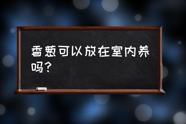 家里自己养香葱怎么养 香葱可以放在室内养吗？