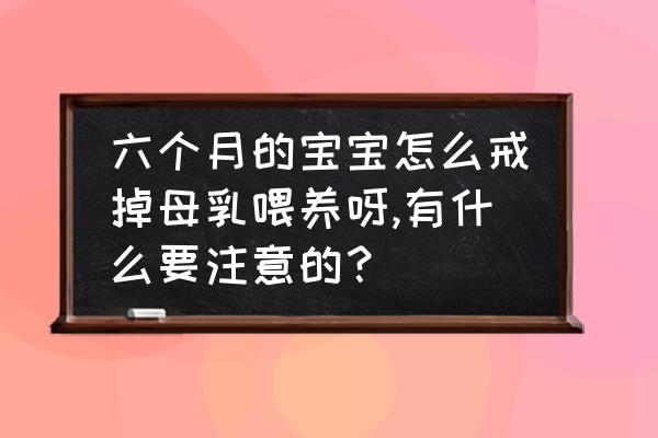 婴儿的喂养过程应注意些什么 六个月的宝宝怎么戒掉母乳喂养呀,有什么要注意的？