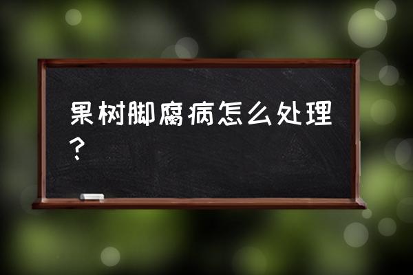 果树干腐病处理方法 果树脚腐病怎么处理？