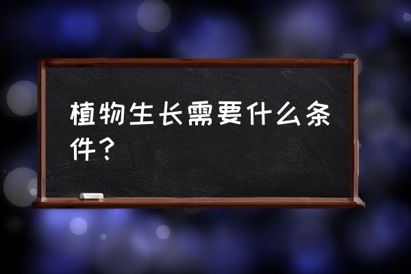 蒲公英种植要具备什么条件 植物生长需要什么条件？