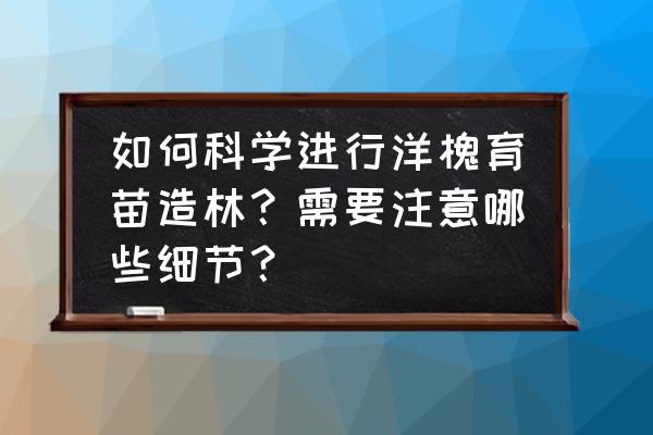 人工挖树坑最快的办法 如何科学进行洋槐育苗造林？需要注意哪些细节？