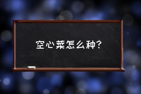 乡下种空心菜的方法 空心菜怎么种？