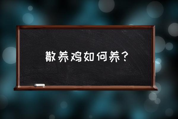 南方冬天散养鸡的正确方法 散养鸡如何养？