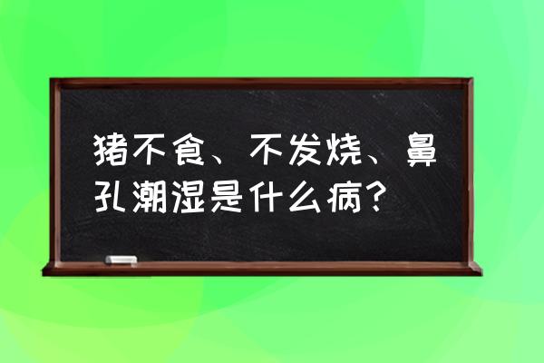 防猪中暑最好的办法 猪不食、不发烧、鼻孔潮湿是什么病？