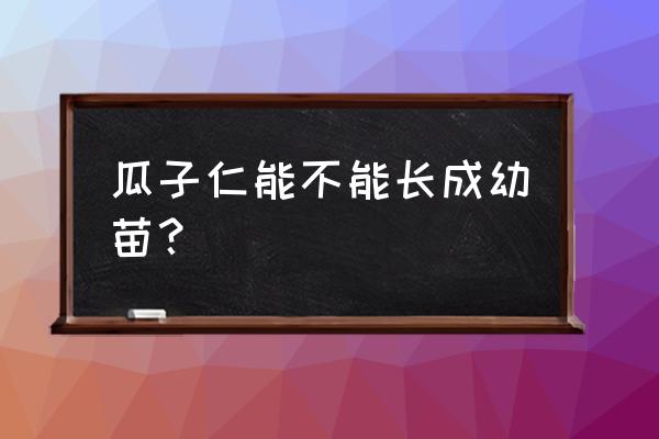 瓜子用保湿发芽法可以种吗 瓜子仁能不能长成幼苗？