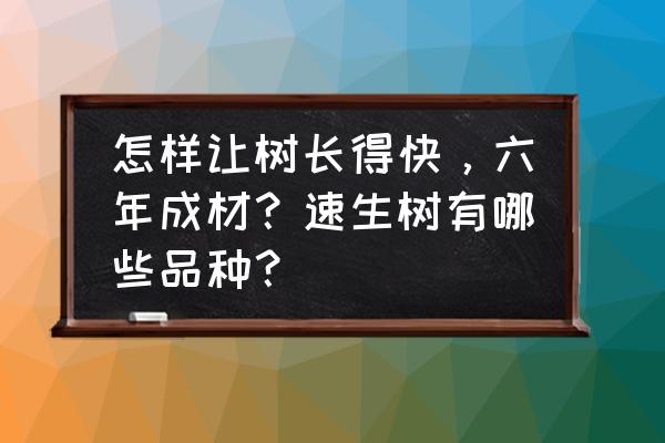 移栽树木怎么才能快速生长 怎样让树长得快，六年成材？速生树有哪些品种？