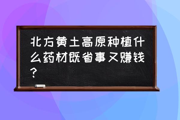 当归育苗最好方法 北方黄土高原种植什么药材既省事又赚钱？