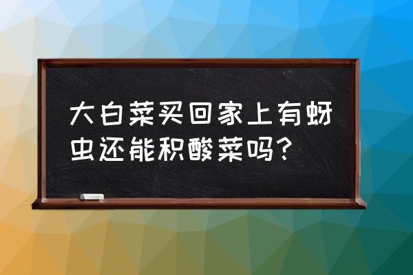 菜有蚜虫不用农药怎么杀蚜虫 大白菜买回家上有蚜虫还能积酸菜吗？