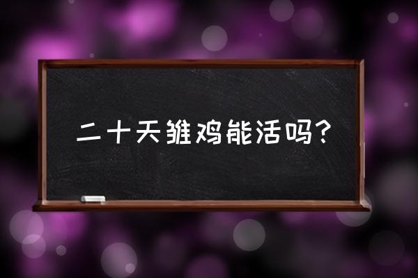 怎样喂养宠物小鸡成活高不生病 二十天雏鸡能活吗？