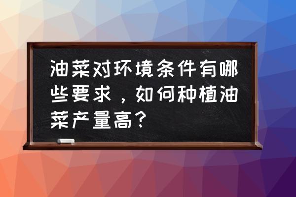 怎样种出好油菜 油菜对环境条件有哪些要求，如何种植油菜产量高？