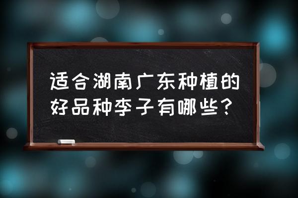 李字的空心字怎么写 适合湖南广东种植的好品种李子有哪些？