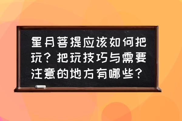 星月菩提怎么串才好看 星月菩提应该如何把玩？把玩技巧与需要注意的地方有哪些？