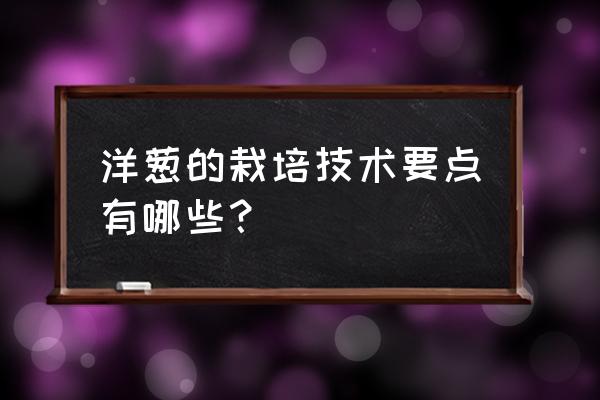 洋葱种植技术和方法 洋葱的栽培技术要点有哪些？