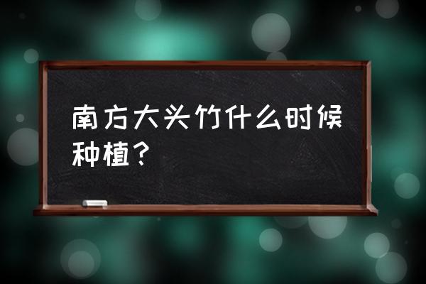 竹子栽培时间何时最好养 南方大头竹什么时候种植？