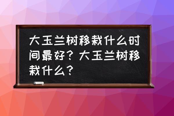 紫玉兰苗移栽后多久存活 大玉兰树移栽什么时间最好？大玉兰树移栽什么？