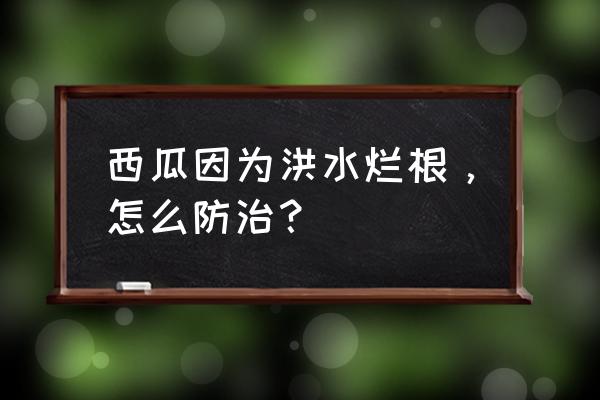 西瓜黄叶死苗烂根用什么药好 西瓜因为洪水烂根，怎么防治？