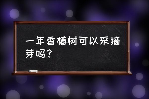 香椿可以一年四季采摘吗 一年香椿树可以采摘芽吗？