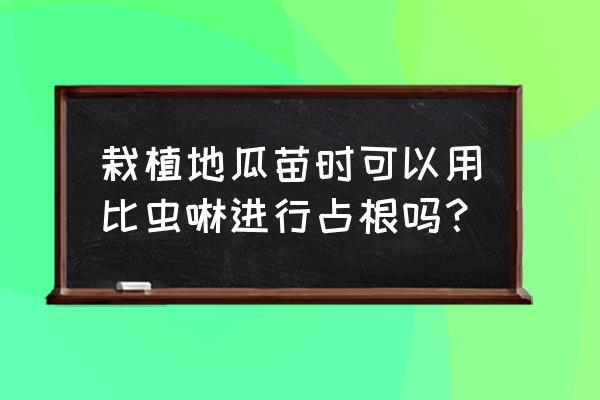 种番薯下什么药防地下虫 栽植地瓜苗时可以用比虫啉进行占根吗？