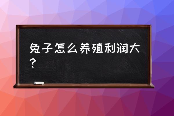 养兔最佳饲料配方 兔子怎么养殖利润大？