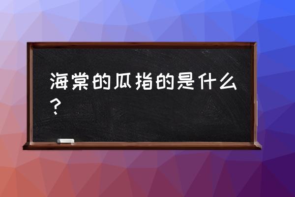 皱皮木瓜和一般木瓜药效 海棠的瓜指的是什么？