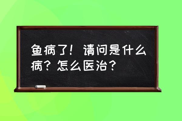 鱼病检测机构 鱼病了！请问是什么病？怎么医治？