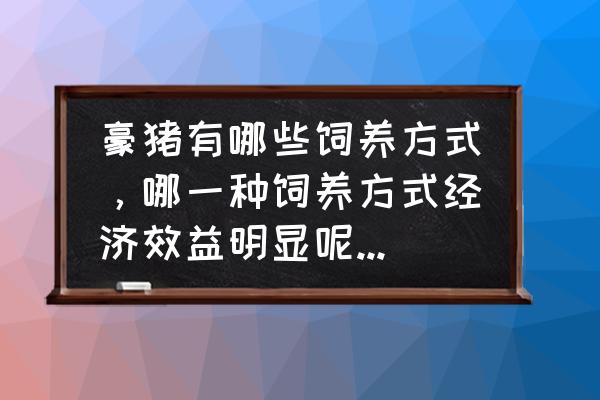 豪猪种苗怎么养殖 豪猪有哪些饲养方式，哪一种饲养方式经济效益明显呢?如何喂养？