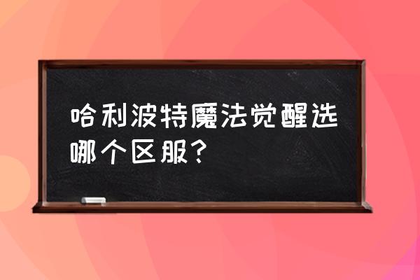 哈利波特魔法觉醒双人上分攻略 哈利波特魔法觉醒选哪个区服？