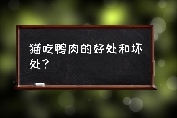 鸭肉不能与哪些食物一起吃 猫吃鸭肉的好处和坏处？