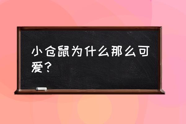 小仓鼠和小狐狸拉手的样子怎么画 小仓鼠为什么那么可爱？