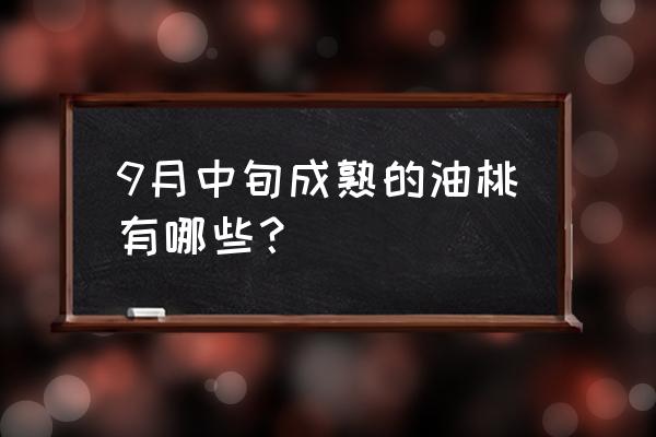 19号油桃对比中油14号哪个好 9月中旬成熟的油桃有哪些？