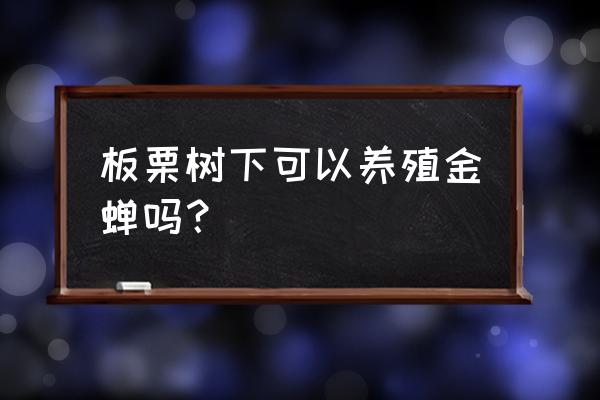 板栗树冬天种植方法 板栗树下可以养殖金蝉吗？