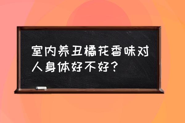 丑橘树苗怎么养 室内养丑橘花香味对人身体好不好？