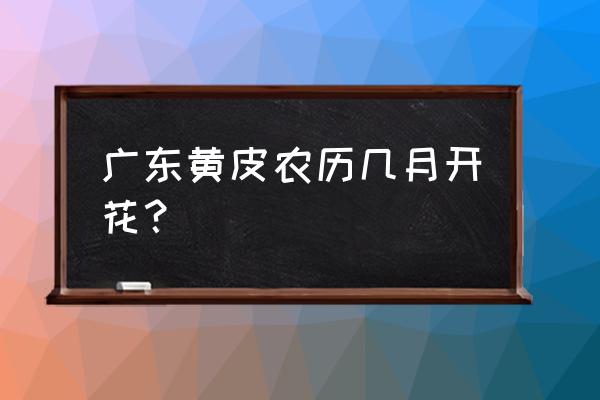 广东黄皮果怎么做好吃 广东黄皮农历几月开花？