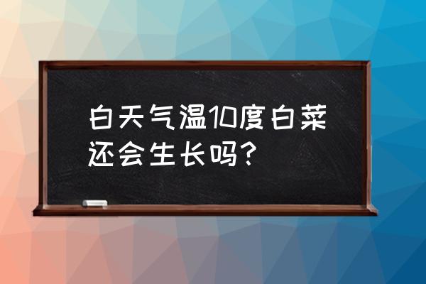 怎么自己种白菜快速生长 白天气温10度白菜还会生长吗？