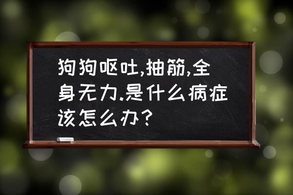 狗狗腿抽筋了怎么办 狗狗呕吐,抽筋,全身无力.是什么病症该怎么办？