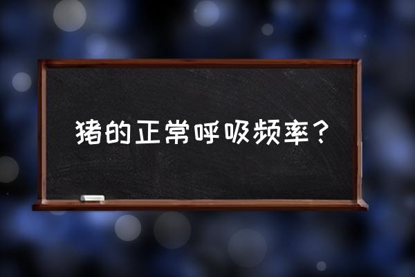 猪最常用妊娠检查方法有哪些 猪的正常呼吸频率？