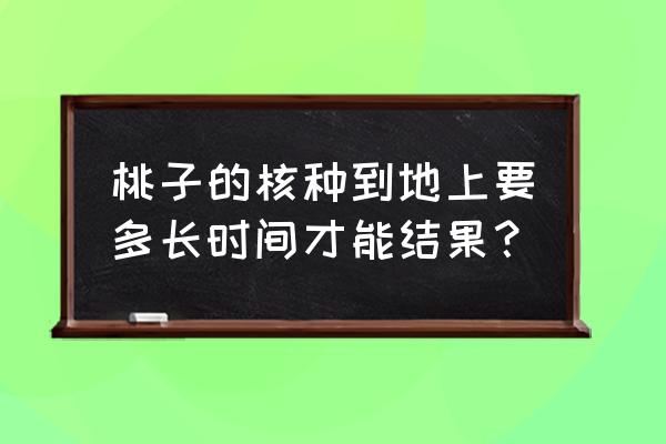 桃树在自然界如何传播种子 桃子的核种到地上要多长时间才能结果？