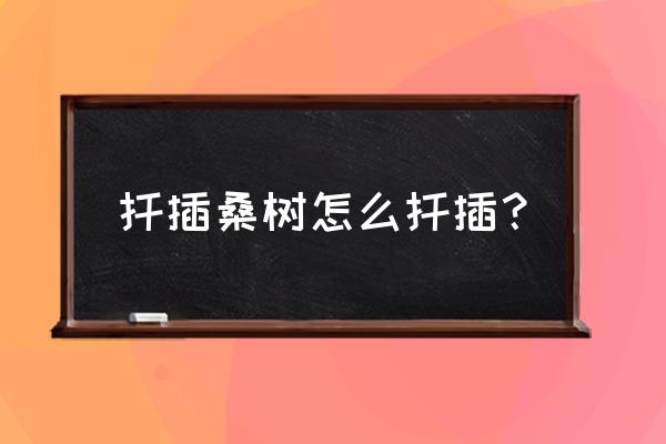 桑树怎么生根杀菌 扦插桑树怎么扦插？