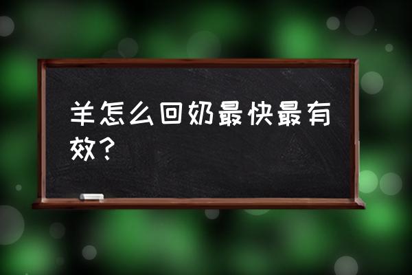 母羊怎么喂养才能多产乳 羊怎么回奶最快最有效？