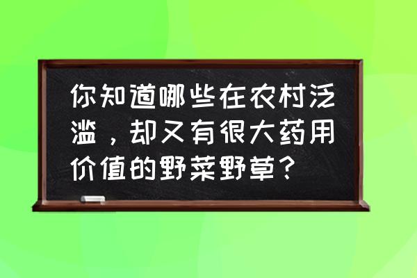 植物治病大全 你知道哪些在农村泛滥，却又有很大药用价值的野菜野草？