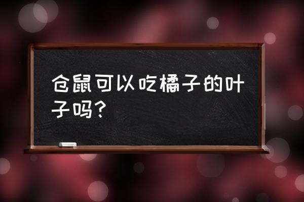 橘子偏好设置在哪里 仓鼠可以吃橘子的叶子吗？