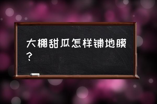 大棚甜瓜种植技术完整版 大棚甜瓜怎样铺地膜？