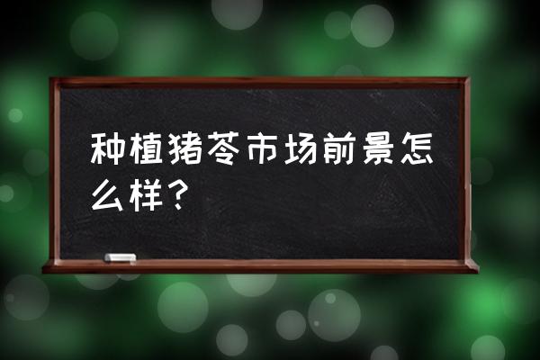 猪苓种植不用蜜环菌可以吗 种植猪苓市场前景怎么样？