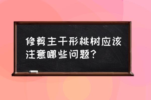 第一年桃树怎么留主干 修剪主干形桃树应该注意哪些问题？