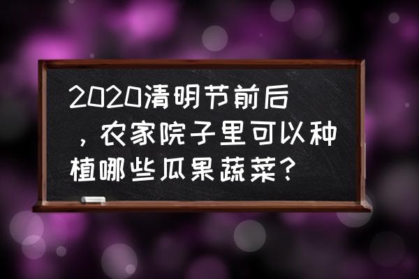 种植小妙招赶紧在家里种起来吧 2020清明节前后，农家院子里可以种植哪些瓜果蔬菜？