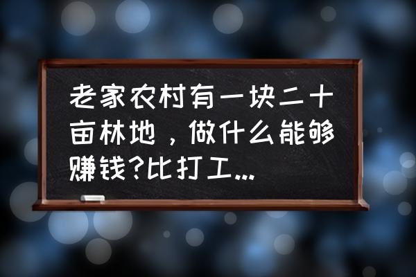 投资20亩葡萄一年能挣多少钱 老家农村有一块二十亩林地，做什么能够赚钱?比打工强就行？