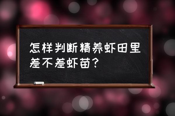 龙虾养殖精养塘怎样挖 怎样判断精养虾田里差不差虾苗？